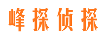 京山婚外情调查取证